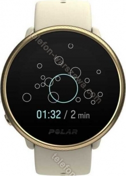 Polar Ignite 2 złoty/szampan