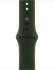Apple Watch Series 6 (GPS + Cellular) 40mm stal szlachetna złoty z paskiem sportowym zyperngrün