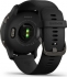 Garmin Venu 2 black/slate