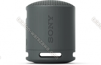 Sony SRS-XB100 czarny