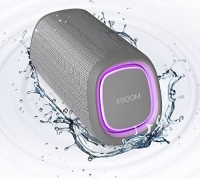 LG XBoom Go DXGQ5 szary