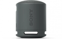 Sony SRS-XB100 czarny