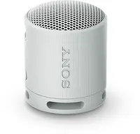Sony SRS-XB100 szary