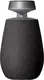 LG XBoom Go DXO2T czarny
