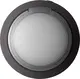 LG XBoom Go DXO2T czarny