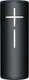 Ultimate Ears Megaboom 4 Active Black