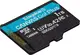 Kingston Canvas Go! Plus R170/W90 microSDXC 1TB, UHS-I U3, A2, Class 10