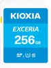 KIOXIA EXCERIA R100 SDXC 256GB, UHS-I U1, Class 10