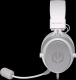 ENDORFY Viro Plus USB Onyx White