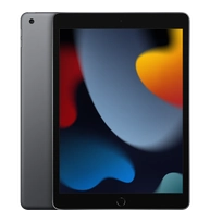 Apple iPad 9, Space Gray, 256GB Flash
